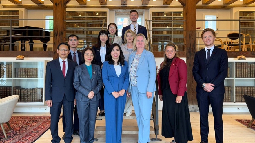 Vietnam, Denmark map out cooperation plans at political consultation in Copenhagen